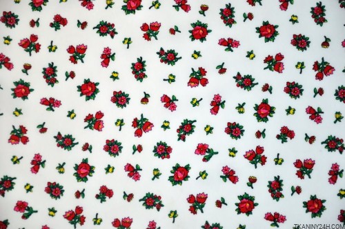 DSC_0090 (Kopiowanie).JPG